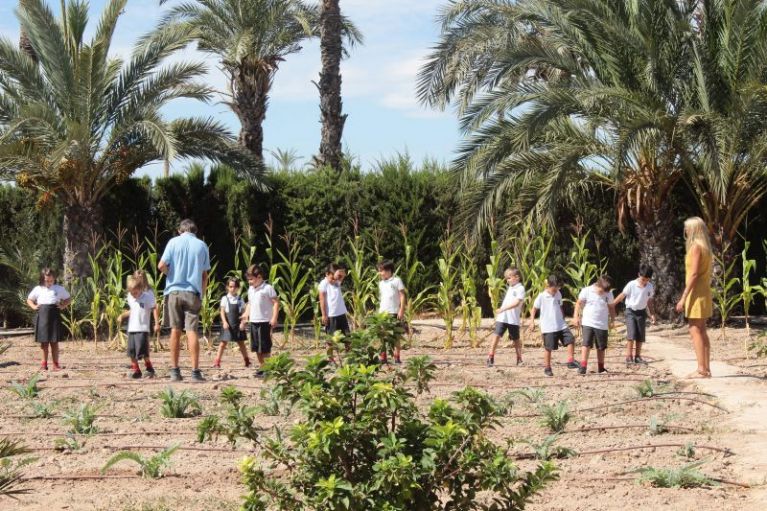 Los alumnos del Centro de Cultura Tradicional Museo Escolar de Pusol empiezan la temporada de cultivos en su huerto ecológico 