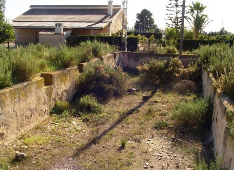 Patrimoni del Camp d'Elx