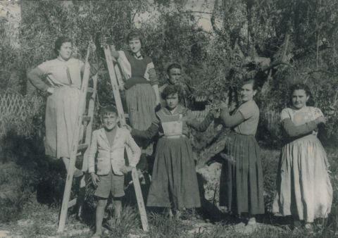 The dress of woman of the Camp d'Elx t