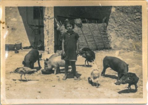 Child labor in Elche