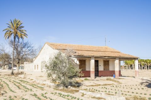 Is traditional housing in the Elche countryside at risk?