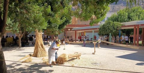 La cultura del cáñamo en la Vega Baja