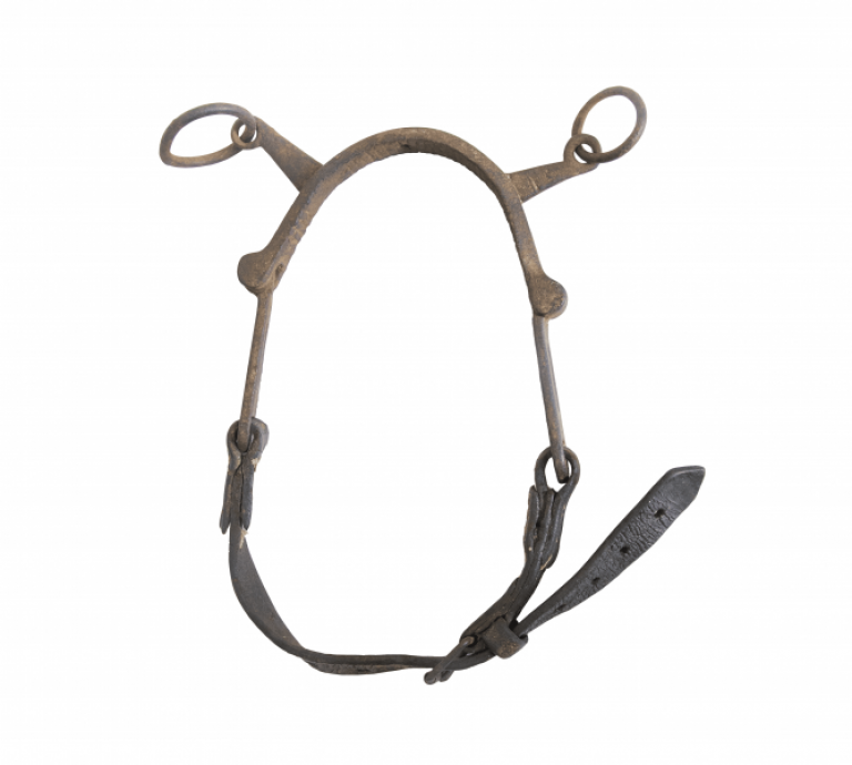 Collar