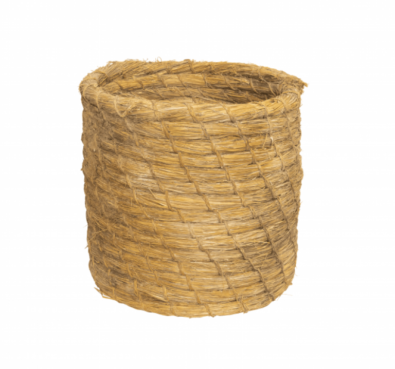 Colmena