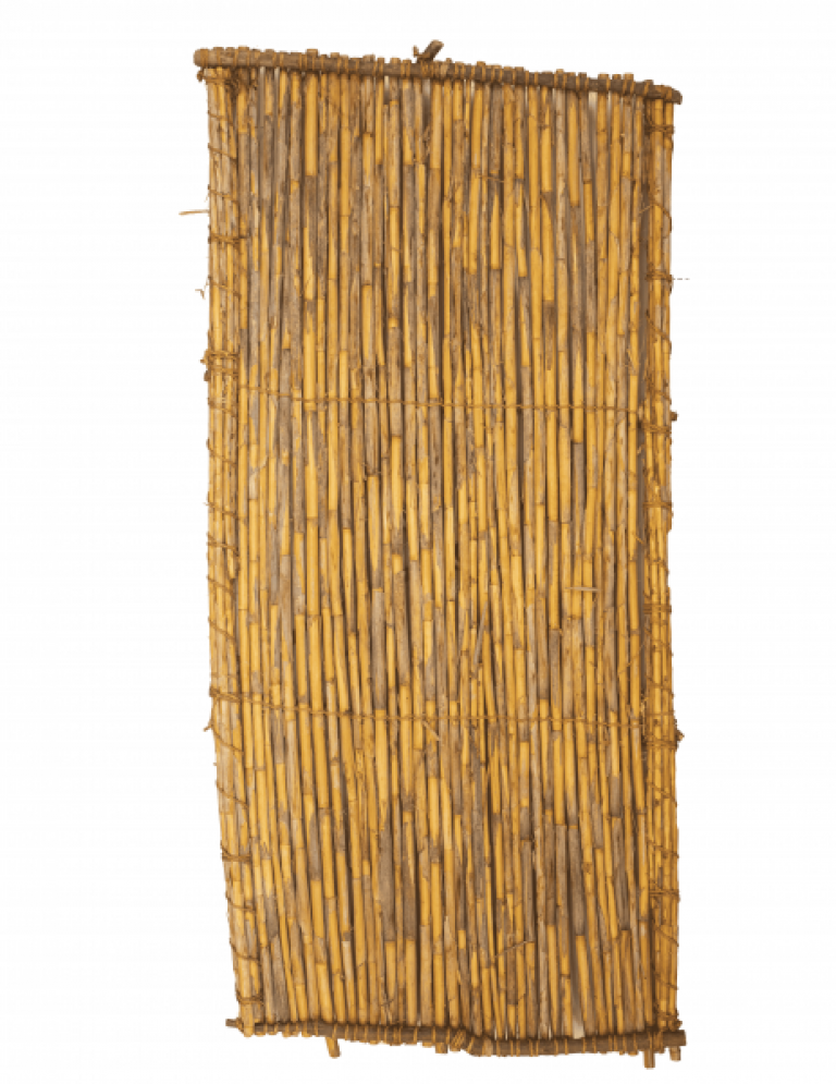Cañizo