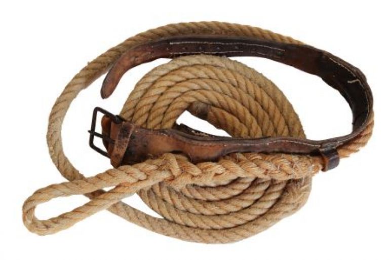 Palmerero's rope