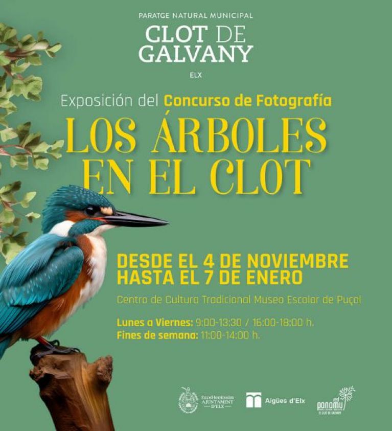 Los árboles en el Clot